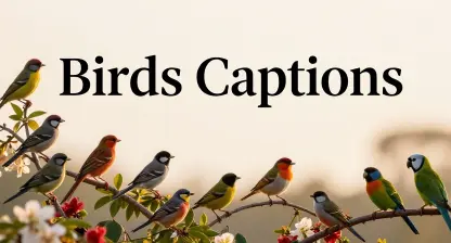 Beautiful Birds Captions to Make Your Photos Soar