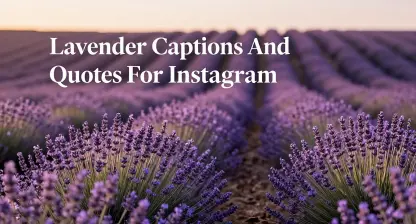 Lavender Captions And Quotes For Instagram
